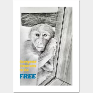 Everyone deserves to be free - monkey Posters and Art